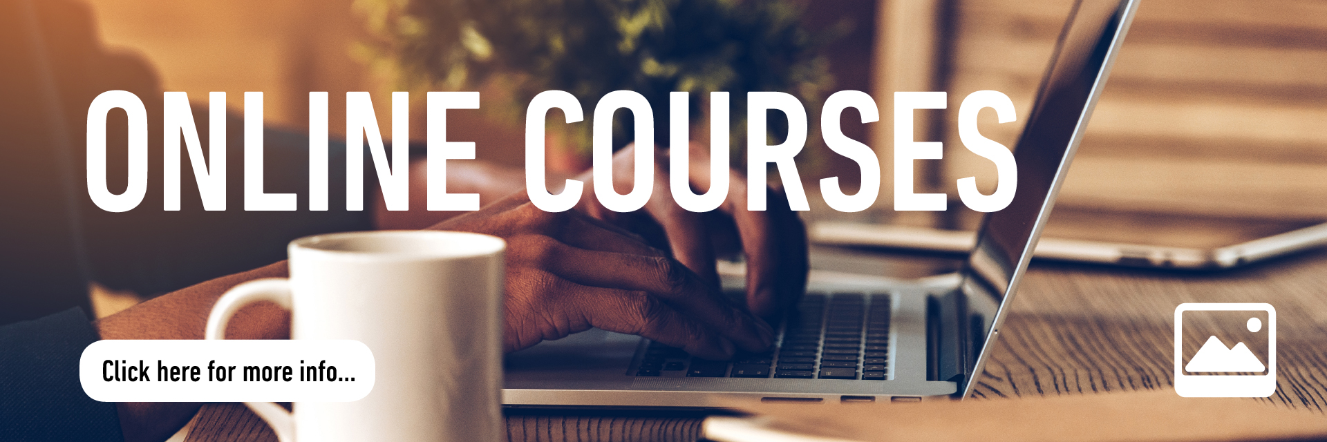 Online Courses button